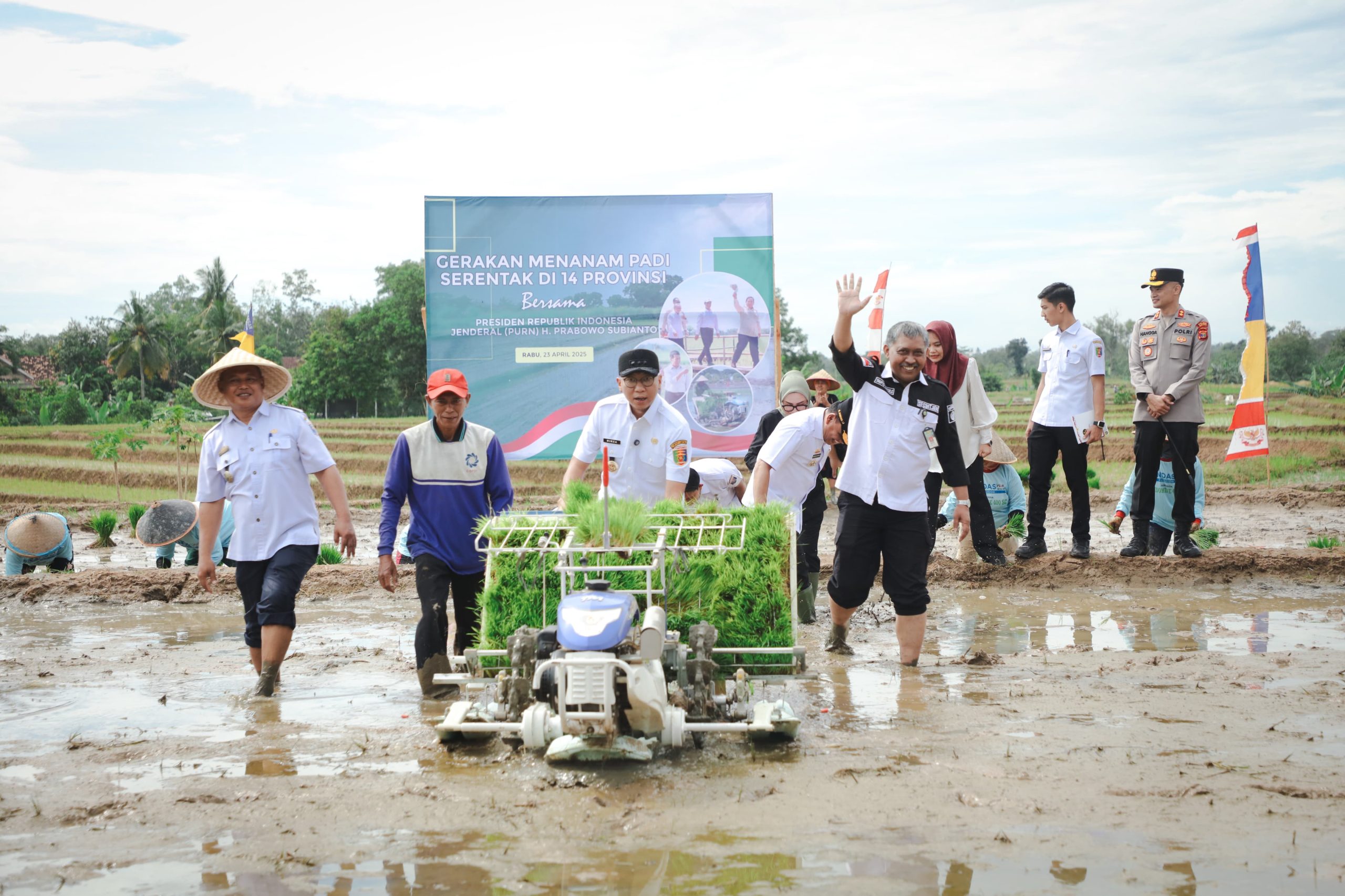 Pemprov Lampung Gaspol Musim Tanam Kedua, Targetkan 3,5 Juta Ton Padi di 2025