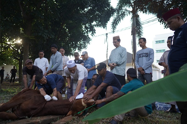 Wali Kota Bandar Lampung Salurkan Hewan Kurban ke UIN Raden Intan Lampung