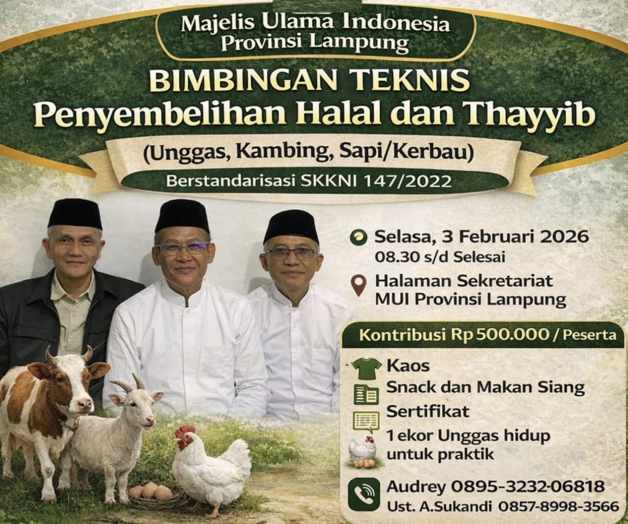 MUI Provinsi Lampung Akan Gelar Bimbingan Teknis Penyembelihan Halal dan Thayyib Berstandar SKKNI