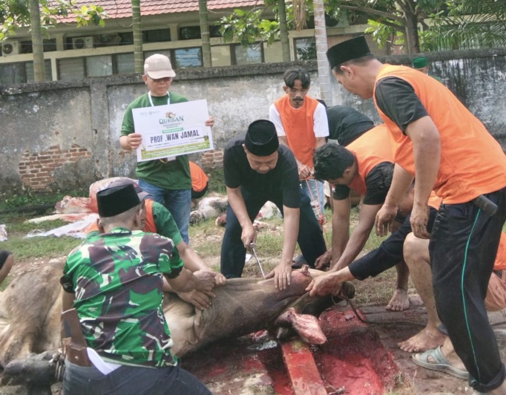PWNU Lampung Sembelih 10 Sapi dan 2 Kambing, Bagikan 1.328 Paket Kurban